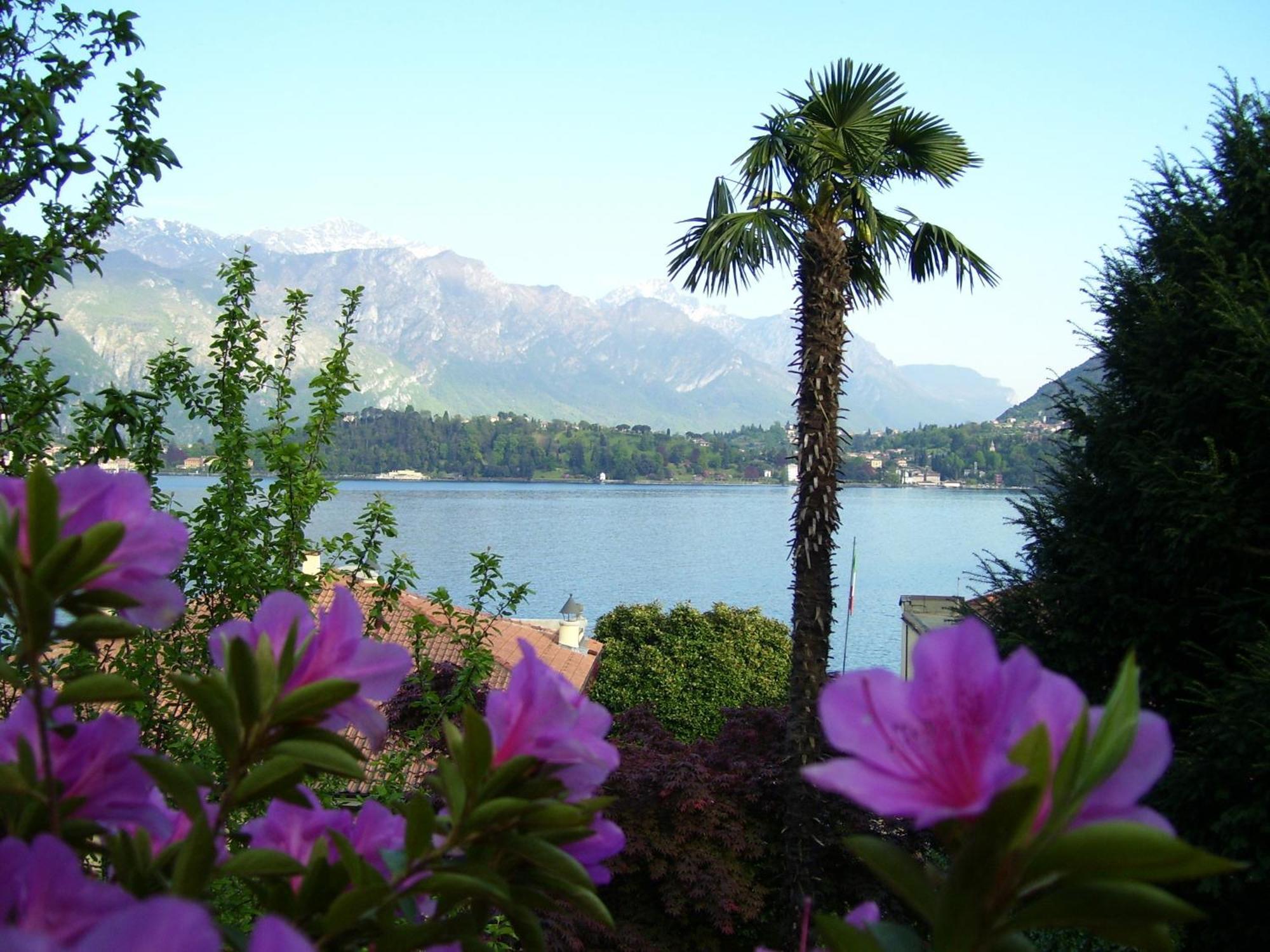 Villa La Mirabella Cadenabbia Bagian luar foto